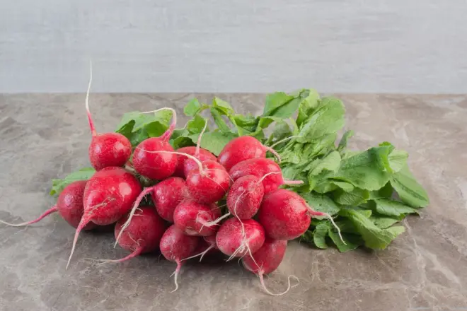 Rabanete. (Foto: Freepik)