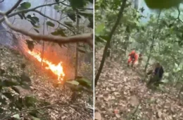 Quatro pessoas morrem após queda de helicóptero perto da Vista Chinesa, no Rio