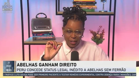 Abelhas sem ferrão ganham direitos legais inéditos no Peru. Roberta Garcia explica essa história