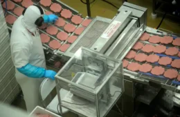 Indústria de ultraprocessados tenta impedir combate à obesidade, diz diretor-geral da OMS