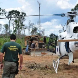 Alertas de desmatamento na Amazônia caem ao menor patamar da série histórica