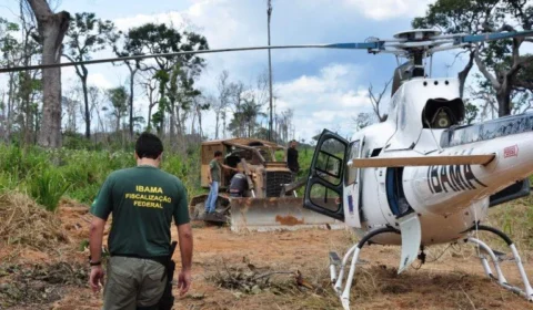 Alertas de desmatamento na Amazônia caem ao menor patamar da série histórica