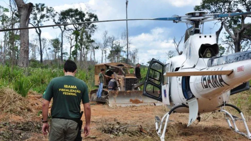 Alertas de desmatamento na Amazônia caem ao menor patamar da série histórica