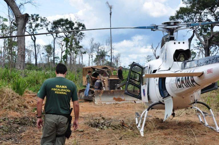 Alertas de desmatamento na amazônia caem ao menor patamar da série histórica