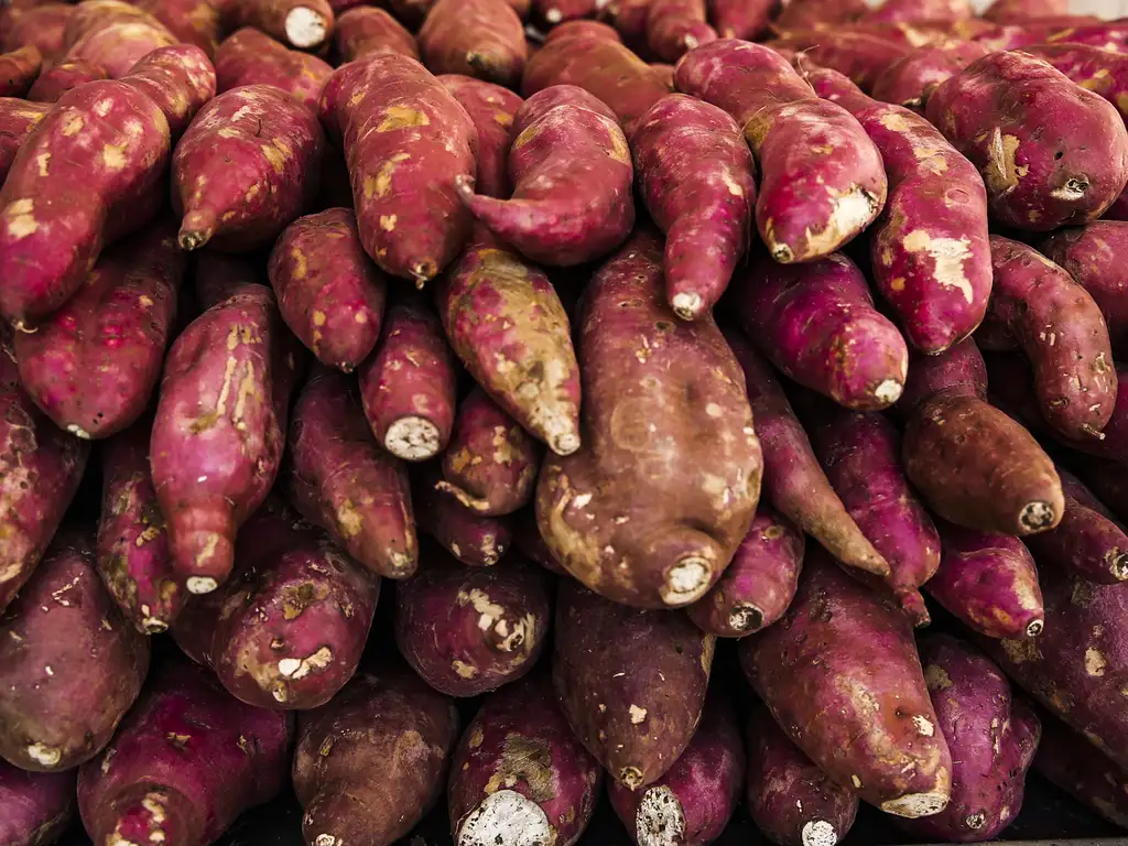 Batata-doce. (Foto:Valter Campanato/Agência Brasil)
