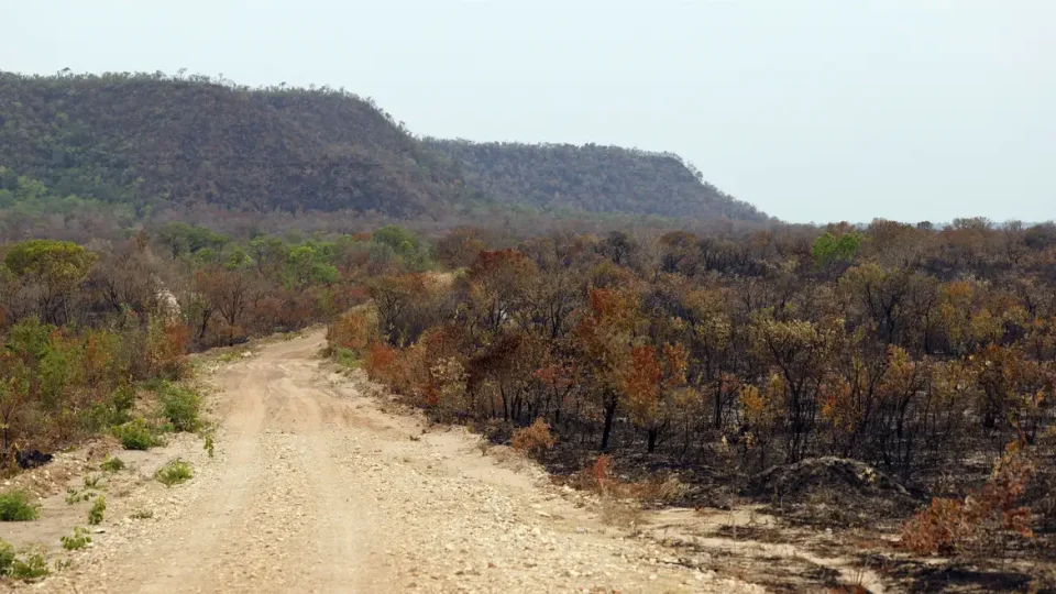 Mapbiomas: menor vegetação nativa expõe mais o país ao El Niño