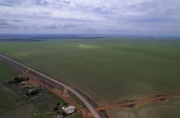 Setores da soja e da mineração dominam candidaturas ao Senado no Mato Grosso