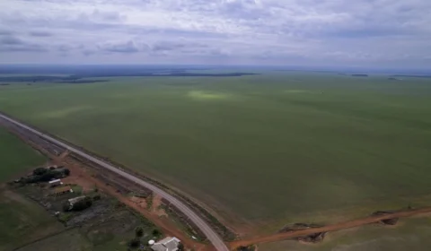 Setores da soja e da mineração dominam candidaturas ao Senado no Mato Grosso