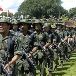 Patentes na urna caem 40%, mas candidatos militares triplicam no PL