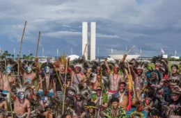 Eleições de 2026 registram recorde de candidaturas indígenas