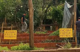 Polícia destrói cultivo de cannabis medicinal de associação e prende colaboradores
