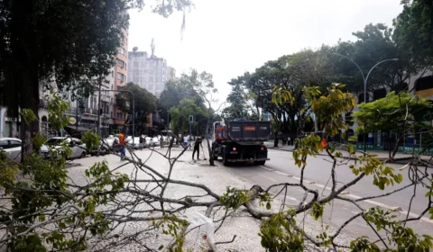 RJ e litoral norte de SP têm alerta de perigo para ventania do ciclone nesta sexta (21)