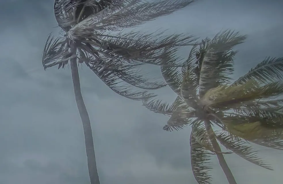 Inmet alerta para ventos de até 100 km/h e risco em diversas regiões do Brasil