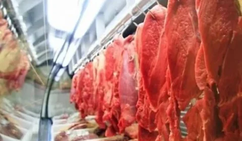 Concorrência cresce, e vendas do Brasil à Argentina despencam no 1º semestre