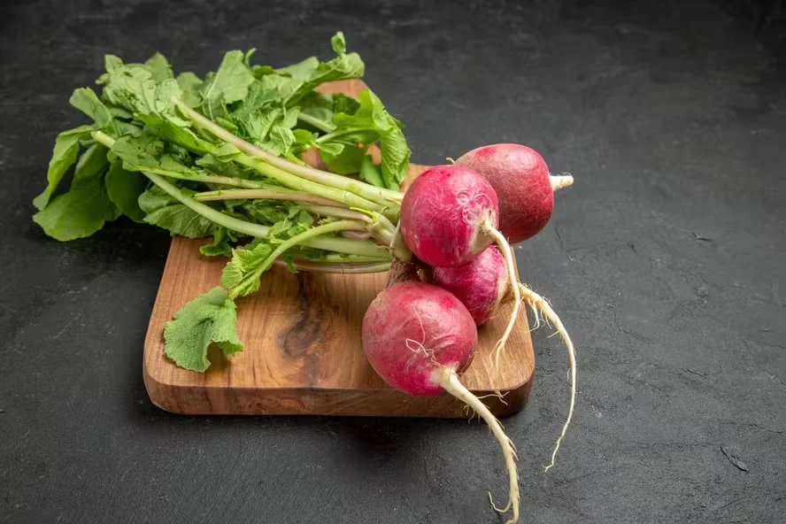 Rabanete. (Foto: Freepik)