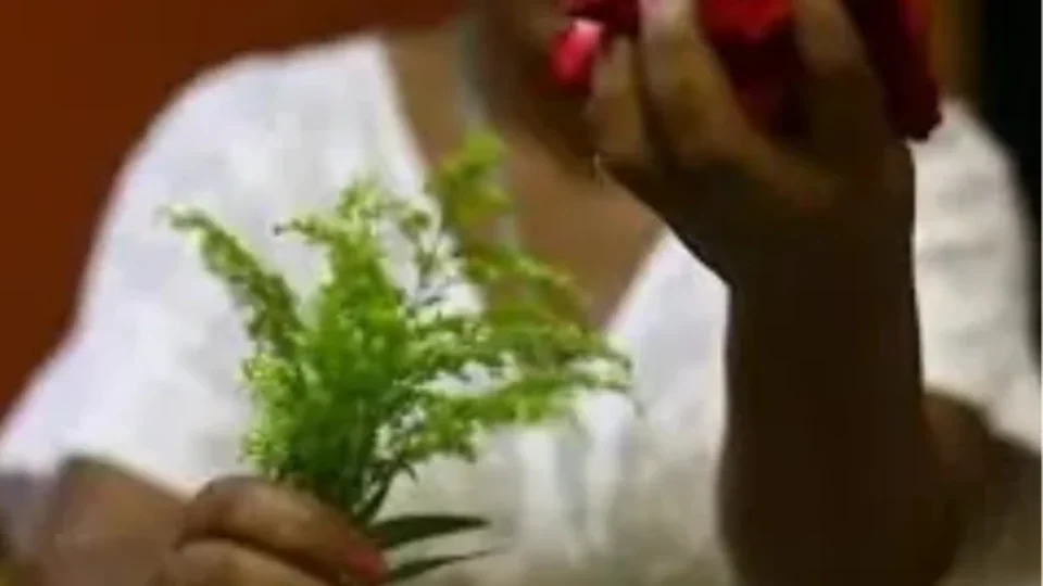 Rezadeiras e Benzedeiras