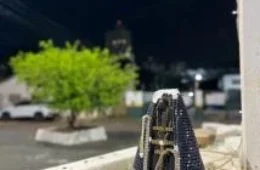 Imagem de Nossa Senhora é encontrada sem cabeça no MT; Arquidiocese repudia