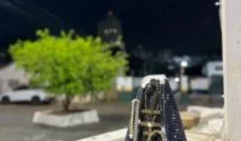Imagem de Nossa Senhora é encontrada sem cabeça no MT; Arquidiocese repudia