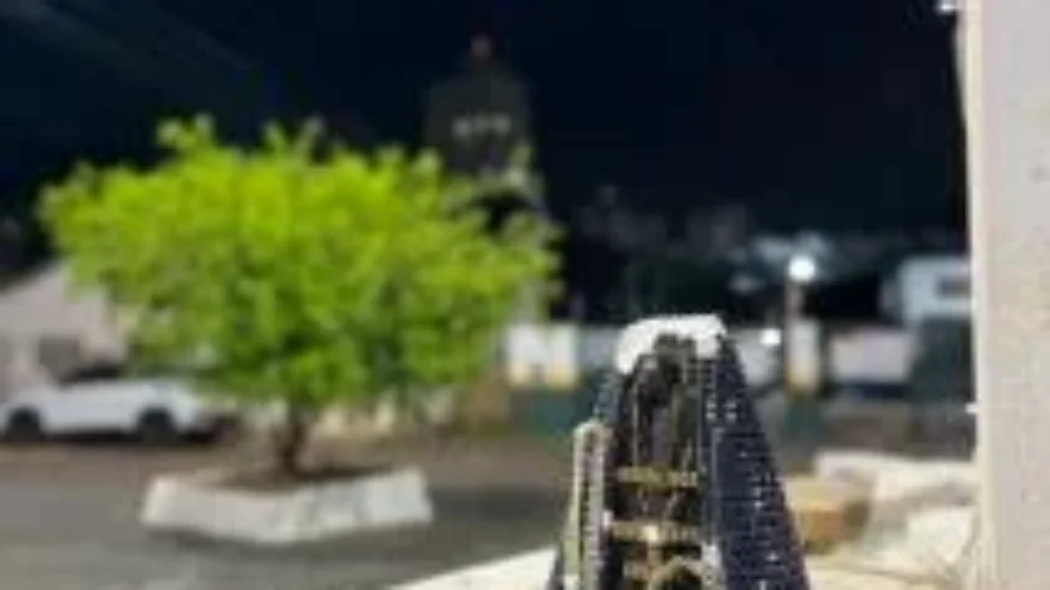 Imagem de Nossa Senhora é encontrada sem cabeça no MT; Arquidiocese repudia