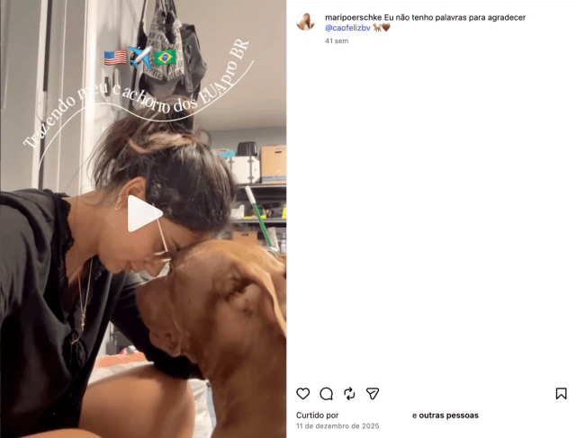 reprodução
