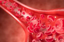 Colesterol alto: veja 11 alimentos que ajudam a proteger o coração