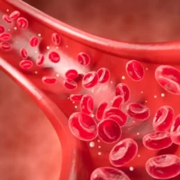 Colesterol alto: veja 11 alimentos que ajudam a proteger o coração