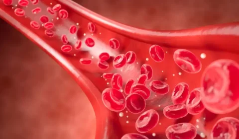 Colesterol alto: veja 11 alimentos que ajudam a proteger o coração