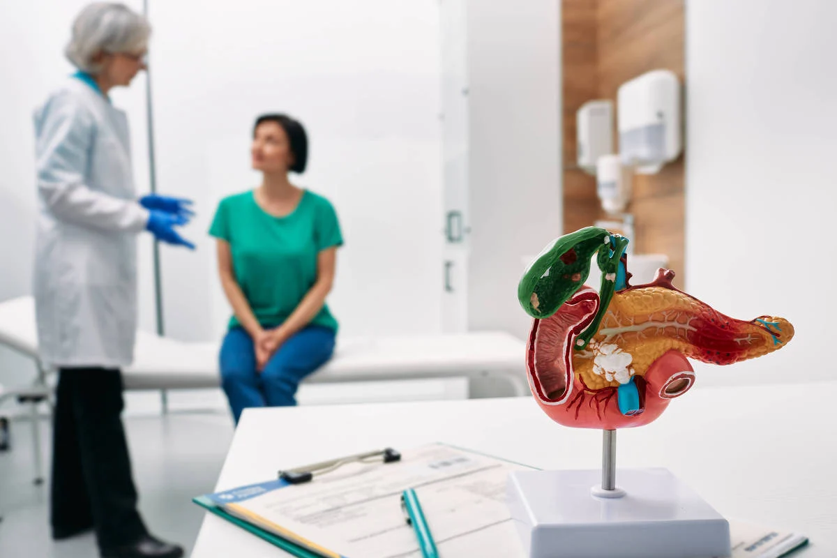 Paciente em consulta com gastroenterologista; em destaque, sobre a mesa, modelo anatômico do pâncreas Paciente em consulta com médico; em destaque, sobre a mesa, modelo anatômico do pâncreas - Adobe Stock