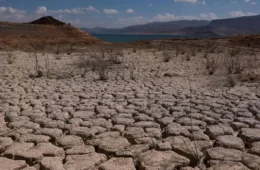 Planeta vai exceder limite de 1,5°C e tarefa agora será voltar a ele, diz ONU