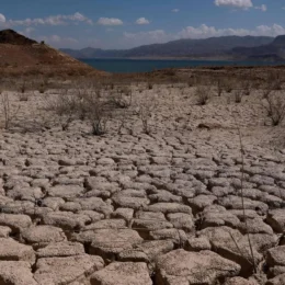 Planeta vai exceder limite de 1,5°C e tarefa agora será voltar a ele, diz ONU
