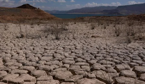 Planeta vai exceder limite de 1,5°C e tarefa agora será voltar a ele, diz ONU