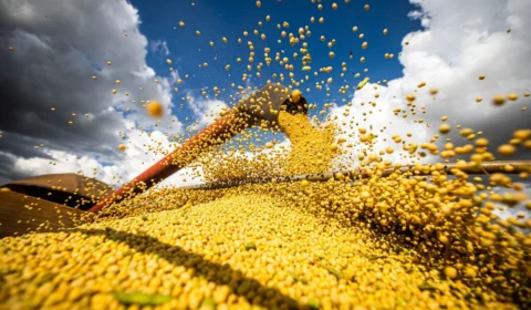 Produção agrícola brasileira superou R$ 927 bilhões em 2025