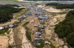 Seca na Amazônia atingiu 38% das áreas habitadas no último El Niño