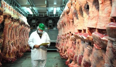 Cota de carne brasileira para a China pode acabar nos primeiros meses de 2027