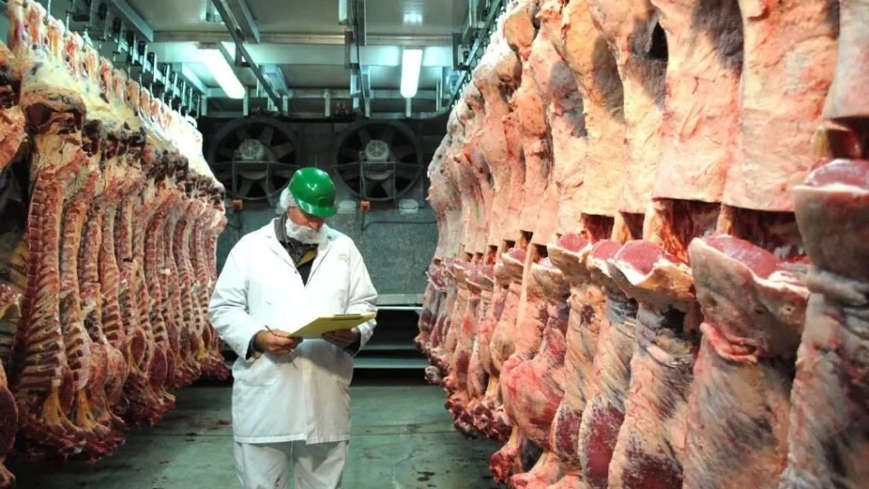 Cota de carne brasileira para a China pode acabar nos primeiros meses de 2027