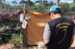 Flávio Bolsonaro fica fora de carta contra trabalho escravo; Lula, Caiado e Cury aderem