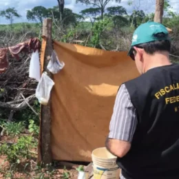 Flávio Bolsonaro fica fora de carta contra trabalho escravo; Lula, Caiado e Cury aderem