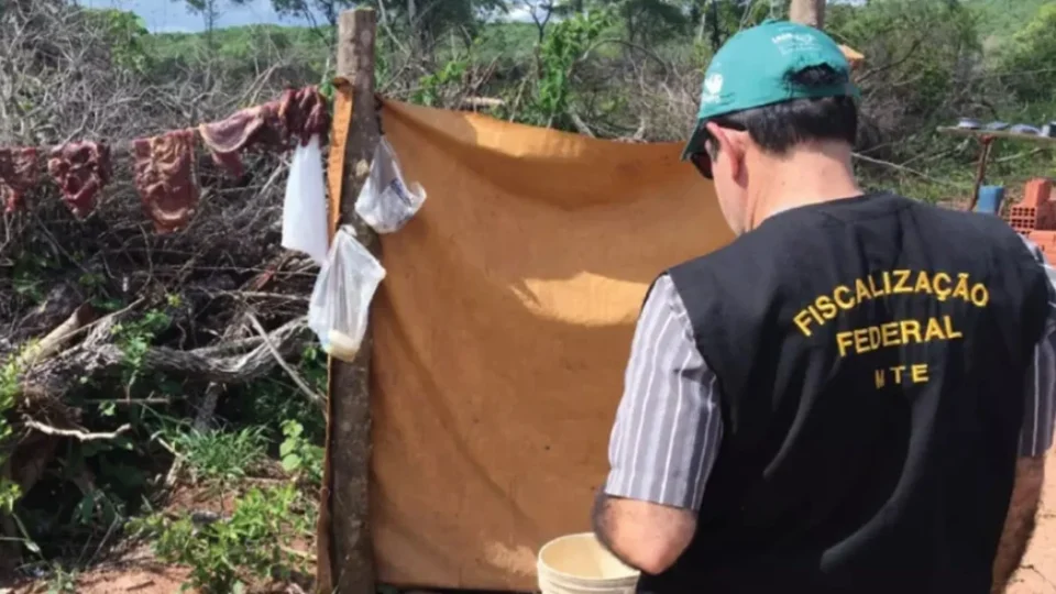 Flávio Bolsonaro fica fora de carta contra trabalho escravo; Lula, Caiado e Cury aderem