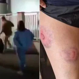 Deputado bolsonarista propõe homenagem a PMs que agrediram candidata do PT