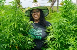 Primeira mulher negra a presidir entidade de cannabis medicinal recebe aval de cultivo legal
