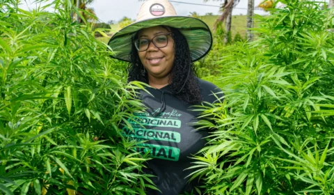 Primeira mulher negra a presidir entidade de cannabis medicinal recebe aval de cultivo legal