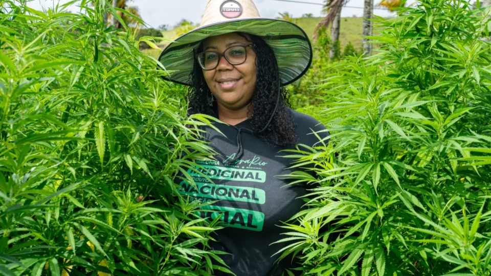 Primeira mulher negra a presidir entidade de cannabis medicinal recebe aval de cultivo legal