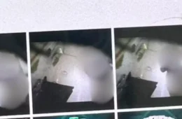 Mulher descobre que era filmada nua no banheiro do trabalho pelo patrão em MG