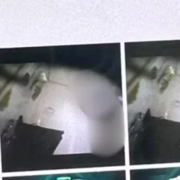Mulher descobre que era filmada nua no banheiro do trabalho pelo patrão em MG