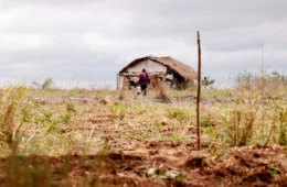 Cai número de assassinatos no campo, mas aumenta o de conflitos
