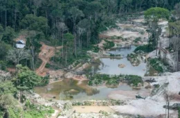 Mineração em terras indígenas: o que já propuseram os novos senadores da Amazônia Legal