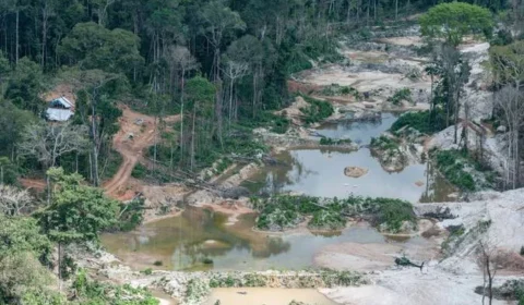 Mineração em terras indígenas: o que já propuseram os novos senadores da Amazônia Legal