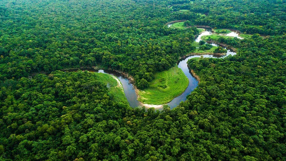 Com Lula, Amazônia registra o menor desmatamento em 41 anos