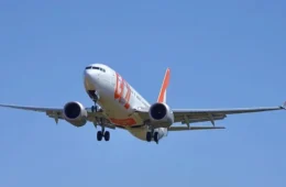 Avião da Gol com destino a SP volta ao aeroporto do Recife após pássaro avariar motor