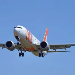 Avião da Gol com destino a SP volta ao aeroporto do Recife após pássaro avariar motor